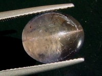 Iolite / Cordierite Catseye - 8,41 Ct. - Sri Lanka (709c)