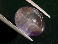 Iolite / Cordierite Catseye - 8,41 Ct. - Sri Lanka (709c)