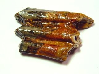 Bison tooth 7,2 cm - 40.000 - 130.000 years old - North Sea