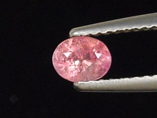 Pezzottaite 0,31 Ct. oval - fine color - Ambatovita, Madagascar