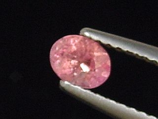 Pezzottaite 0,31 Ct. oval - fine color - Ambatovita, Madagascar