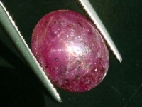 Star Ruby - 8,81 Ct. - 6 ray star - India oval cabochon