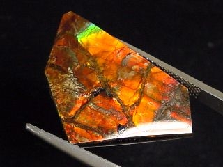 Ammolite 10,49 Ct. fine colorplay - fancy cabochon 25 mm