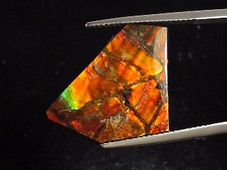 Ammolite 10,49 Ct. fine colorplay - fancy cabochon 25 mm