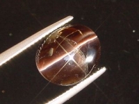 Sillimanite Catseye - 8,29 Ct. - Sri Lanka (464d)