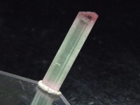 Tourmaline bicolor - fine crystal - 21 mm Pakistan