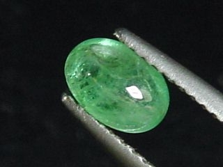 Emerald 0,84 Ct. treated - oval cabochon Colombia