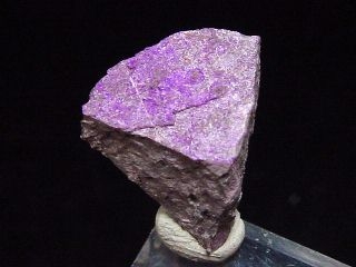 Sugilite specimen 16 mm - untreated - Sothafrica