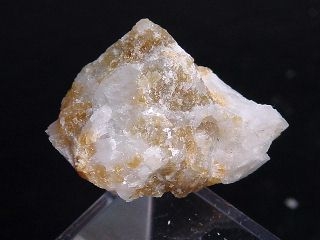 Chondrodite specimen 24 mm - Persberg, Sweden