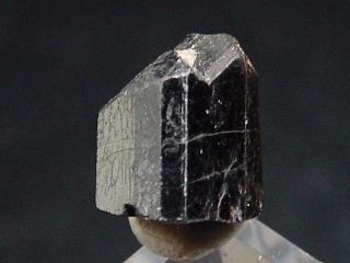 Tantalite crystal 8 mm - rare - Parelhas, Brazil