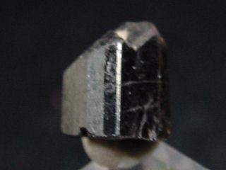 Tantalite crystal 8 mm - rare - Parelhas, Brazil