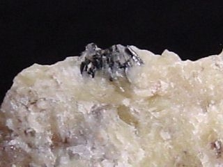 Benstonite specimen 18 mm - Murun massiv, Siberia, Russia