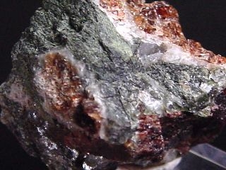 Eudialite + Terskite specimen 19 mm - rare - Kola, Russia
