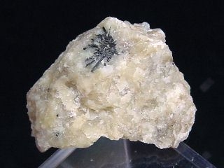 Benstonite specimen 13 mm - Murun massiv Siberia Russia