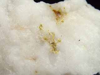 Gold kristallin in Quarz / Goldstufe 34 mm Brusson, Val d'Aosta, Italien