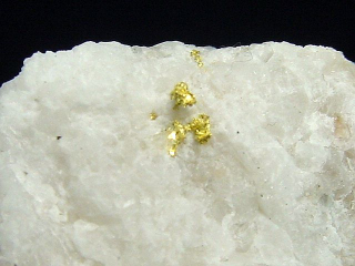 Gold kristallin in Quarz / Goldstufe 34 mm Brusson, Val d'Aosta, Italien