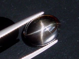 Star Diopside 8,56 Ct. - fine 4-ray star - oval cabochon