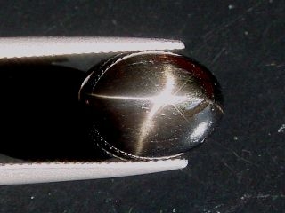 Star Diopside 8,56 Ct. - fine 4-ray star - oval cabochon