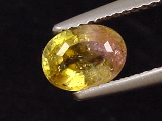 Tourmaline 0,96 Ct. bicolor 7 x 5,5 mm oval