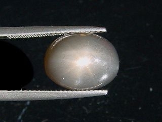 Star Moonstone 8,61 Ct. black - oval cabochon - Sri Lanka