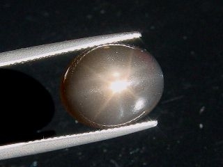 Star Moonstone 8,75 Ct. black - oval cabochon - Sri Lanka