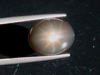 Star Moonstone 8,75 Ct. black - oval cabochon - Sri Lanka