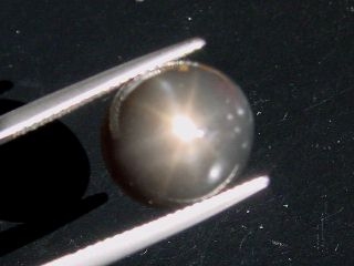 Star Moonstone 10,03 Ct. black - oval cabochon - Sri Lanka