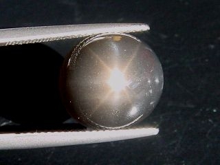 Star Moonstone 10,03 Ct. black - oval cabochon - Sri Lanka