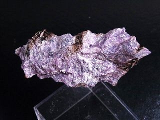 Neotokite specimen 48 mm - very rich - Murun, Russia