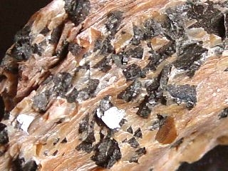 Chloritoide - rich specimen 50 mm - Narodnaya, Ural, Russia