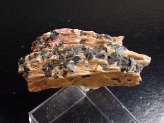 Chloritoide - rich specimen 50 mm - Narodnaya, Ural, Russia