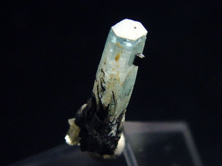 Aquamarine crystal 20 mm - Erongo, Namibia