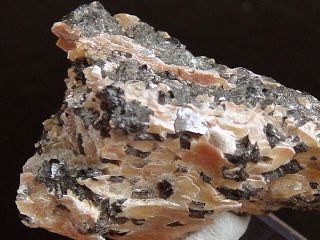 Chloritoide - rich specimen 41 mm - Narodnaya, Ural, Russia