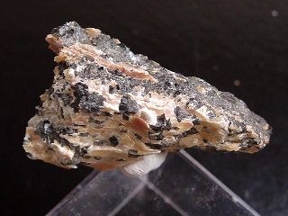 Chloritoide - rich specimen 41 mm - Narodnaya, Ural, Russia