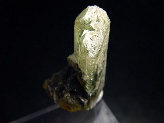 Turmalin Kristall 28 mm zweifarbig grün und schwarz Tansania