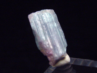 Paraiba Turmalin Kristall / Cupro Elbait 12 mm - Brasilien