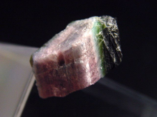 Paraiba Turmalin Kristall / Cupro Elbait 20 mm - Brasilien