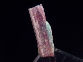 Paraiba Turmalin Kristall / Cupro Elbait 27 mm - Brasilien