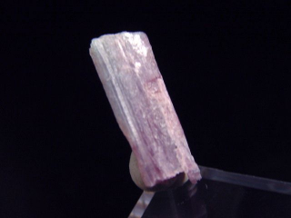 Paraiba Turmalin Kristall / Cupro Elbait 21 mm - Brasilien