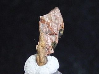 Armstrongite specimen - rare - Gobi desert, Mongolia