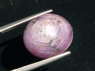 Star Ruby 27,23 Ct. - oval cabochon - India