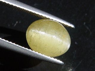 Apatite Catseye 6,02 Ct. yellow Brazil