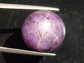 Star Ruby 33,83 Ct. - good star effect - round cabochon