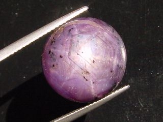 Star Ruby 33,83 Ct. - good star effect - round cabochon