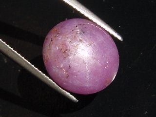 Star Ruby 18,62 Ct. - good star effect - oval cabochon