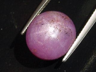 Star Ruby 18,62 Ct. - good star effect - oval cabochon