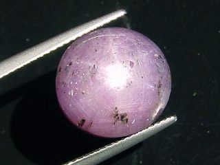 Star Ruby 18,96 Ct. - oval cabochon - India