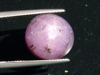 Star Ruby 18,96 Ct. - oval cabochon - India