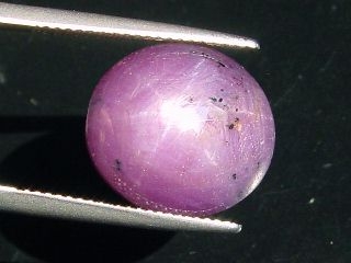 Star Ruby 22,81 Ct. - good star effect - oval cabochon