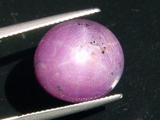 Star Ruby 22,81 Ct. - good star effect - oval cabochon